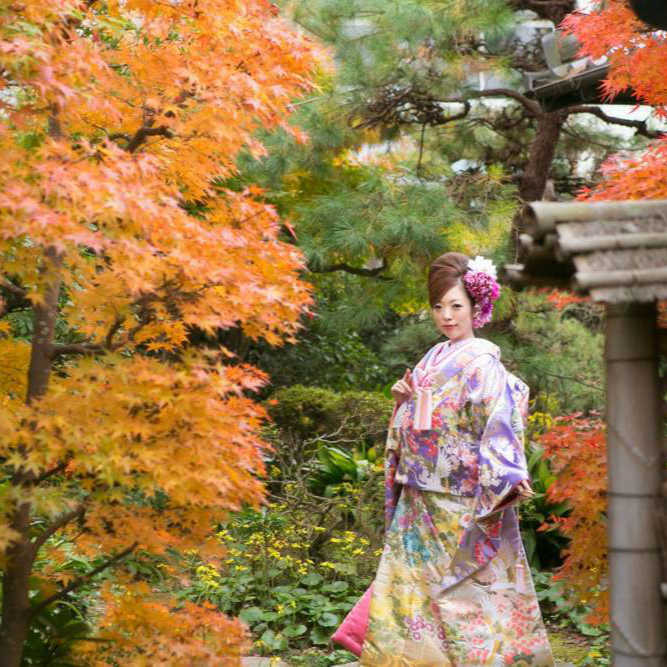 色打掛紅葉撮影