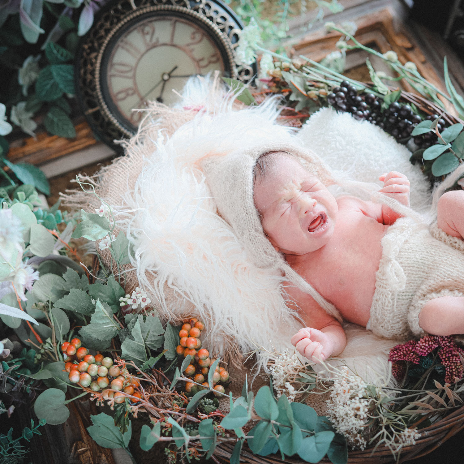 ニューボーンフォト