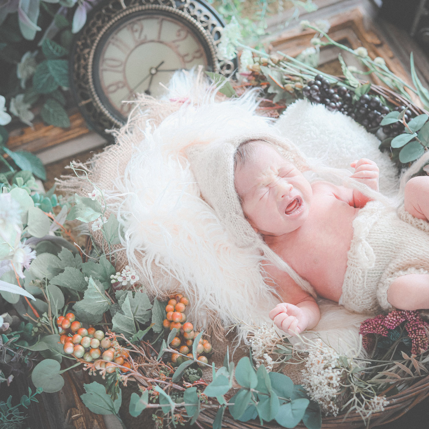 ニューボーンフォト