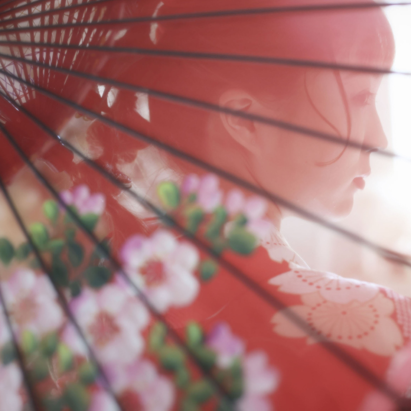 成人式のスタジオ撮影