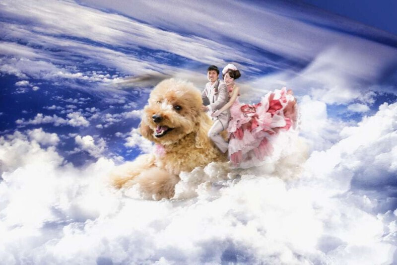 フォトイマージュ