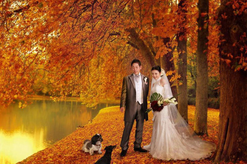 フォトイマージュ