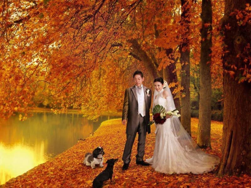 フォトイマージュ