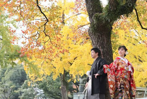 徳島城公園 イチョウの紅葉