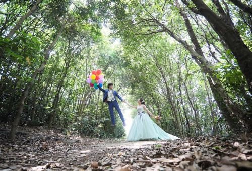 吉野川北岸 応神（藍住）森林