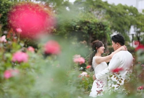 徳島場公園 バラ園