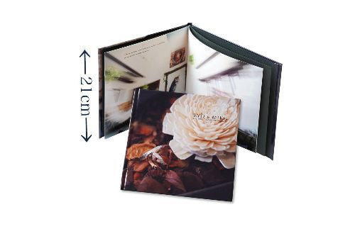 スリムアルバム 21cm(データにプラス)