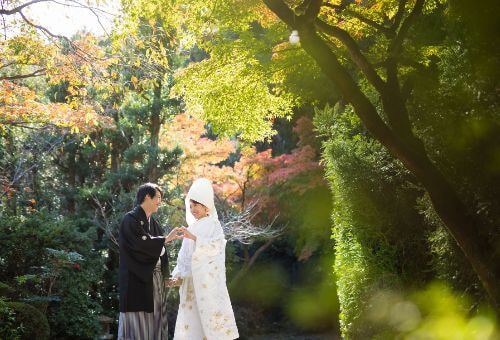 裏庭の紅葉