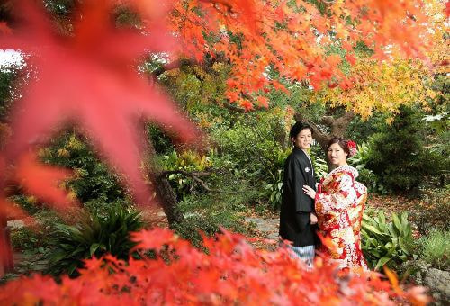 裏庭の紅葉