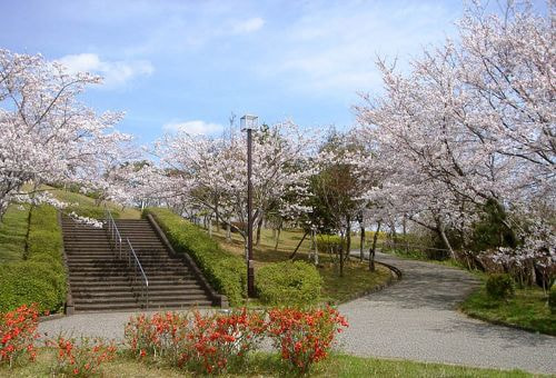 眉山山頂公園
